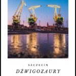 Magnes - Szczecin - Dźwigozaury wzór 1