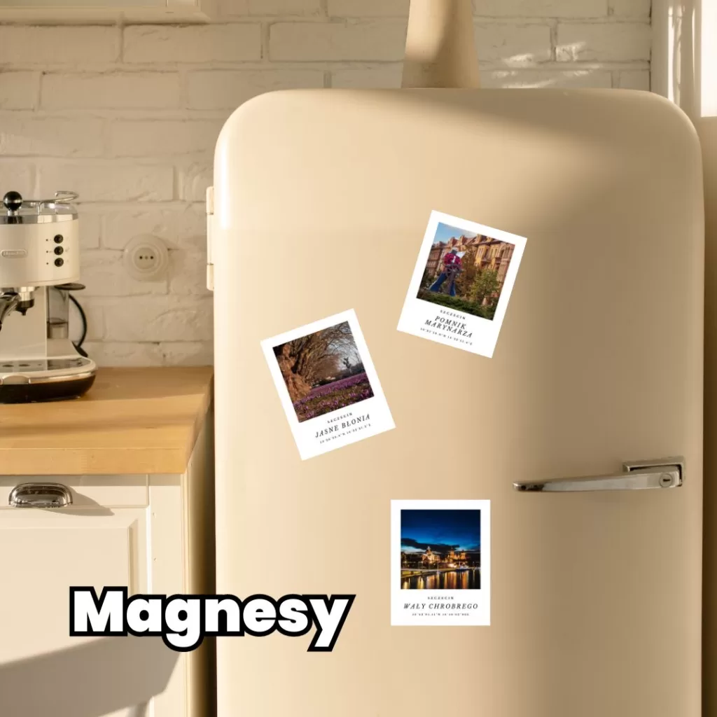 Kategoria: Magnesy