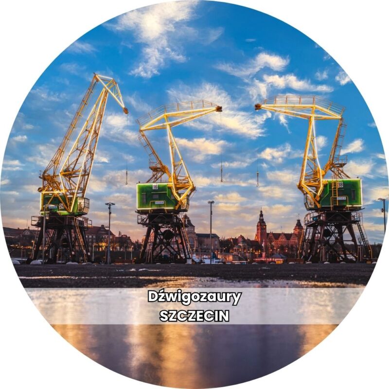 Drewniana podkładka pod kubek z motywem Dźwigozaurów w Szczecinie.