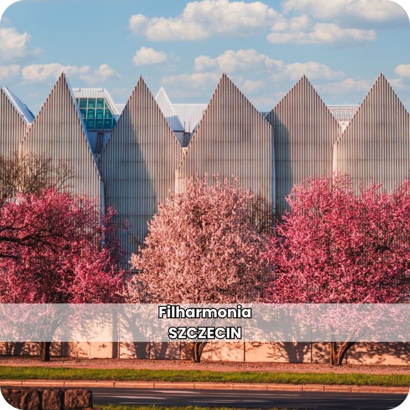 Drewniana podkładka pod kubek z motywem Filharmonii w Szczecinie.